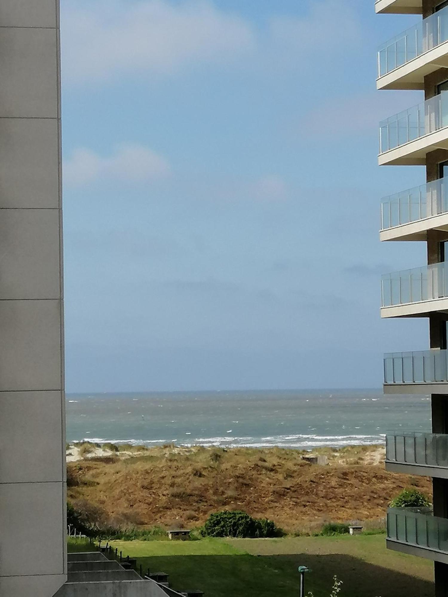 Zee En Strand De Panne Bagian luar foto