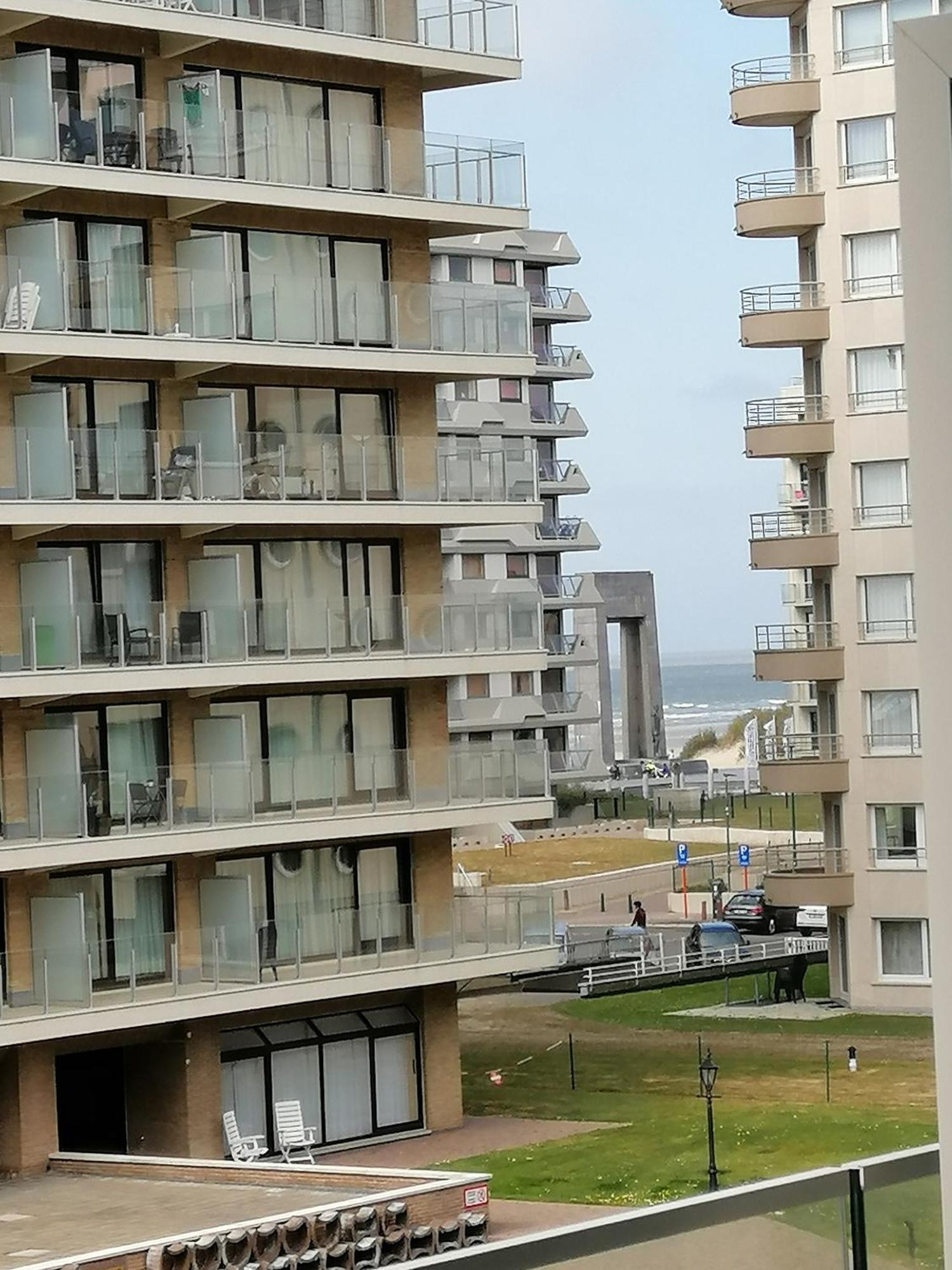 Zee En Strand De Panne Bagian luar foto